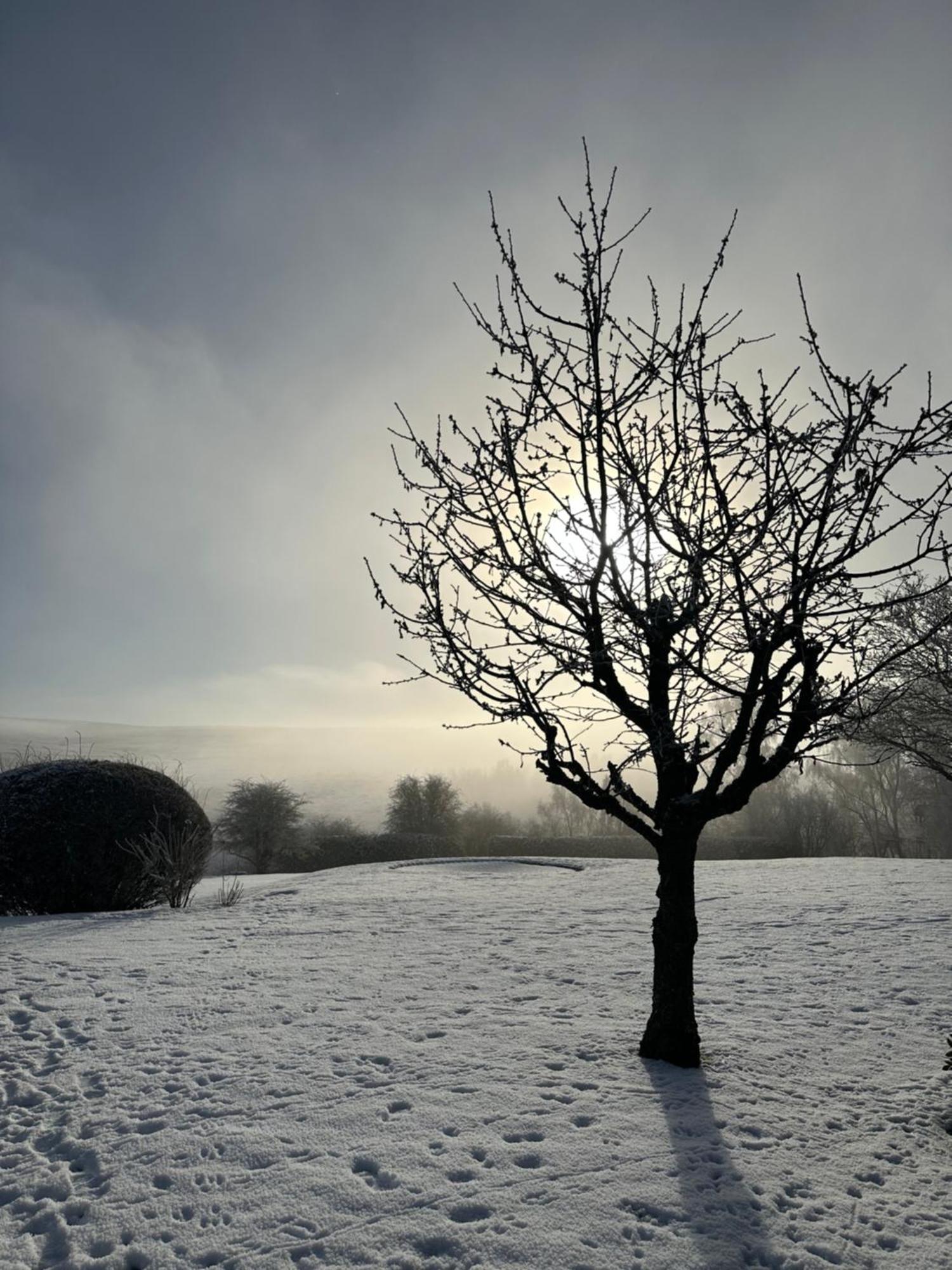 Moorland View Lodge Baslow Esterno foto